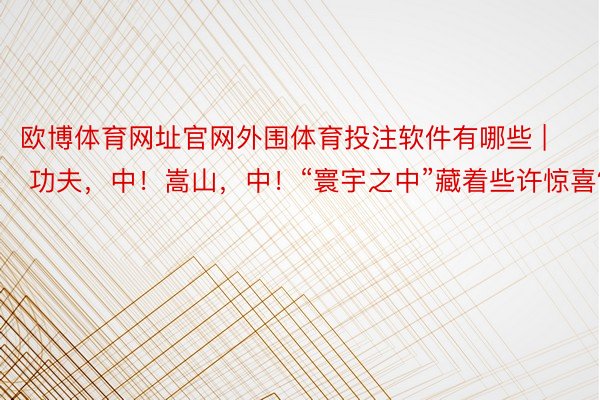 欧博体育网址官网外围体育投注软件有哪些 | 功夫，中！嵩山，中！“寰宇之中”藏着些许惊喜？